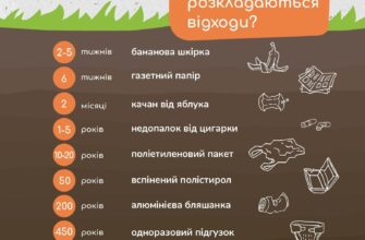 Що розкладається найшвидше: відходи та їхній вплив на довкілля
