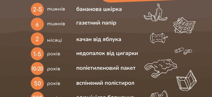 Скільки років потрібно паперу, щоб повністю розкластися в природі?