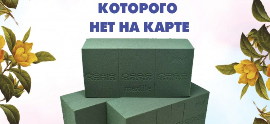 Чи можна застосовувати флористичну губку в сухому вигляді: поради й нюанси
