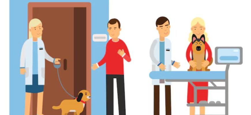 Ефективна автоматизація складів у ветеринарії: чому це має значення?