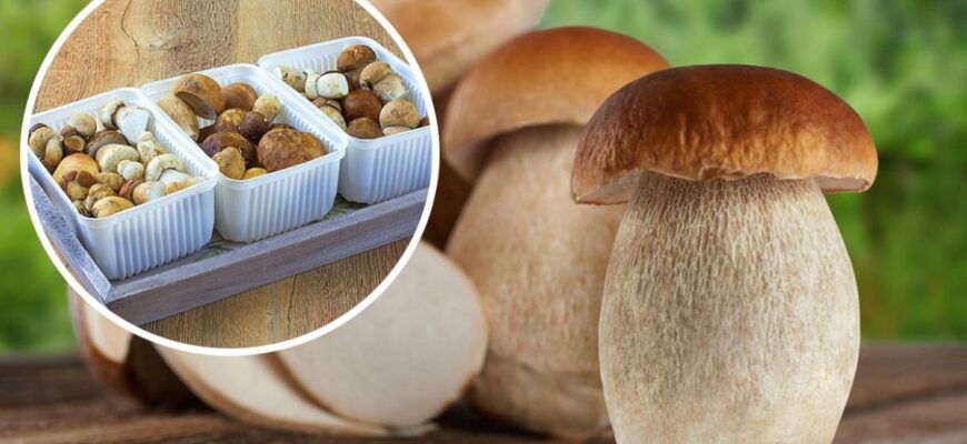 З якого віку можна їсти гриби: поради батькам для дитячого раціону