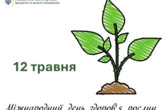 Всі види рослин на планеті: скільки їх відомо на сьогоднішній день?