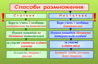 “Способи розмноження рослин у природі: різноманіття та особливості”