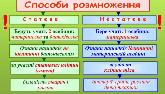 “Способи розмноження рослин у природі: різноманіття та особливості”