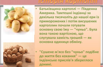 Альтернативи до картоплі: історичні замінники в українській кухні