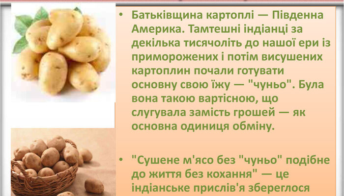 Альтернативи до картоплі: історичні замінники в українській кухні