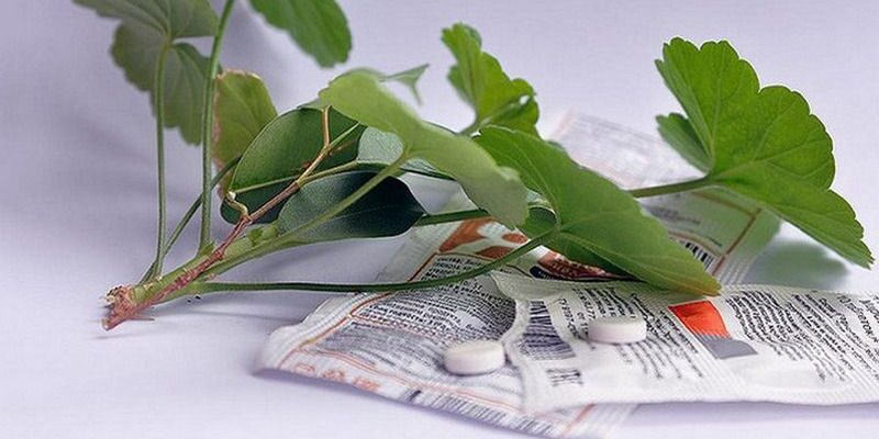 Як ефективно розвести бурштинову кислоту для підживлення рослин