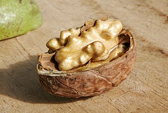 Відкрийте таємницю: де знаходиться Батьківщина волоського горіха