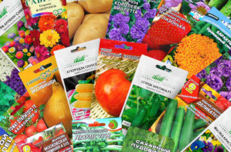 Як правильно вибрати якісне насіння: поради для успішного врожаю