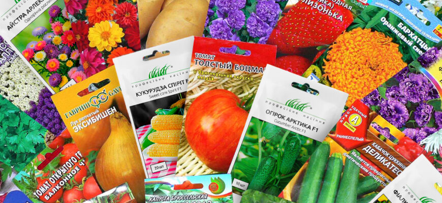 Як правильно вибрати якісне насіння: поради для успішного врожаю