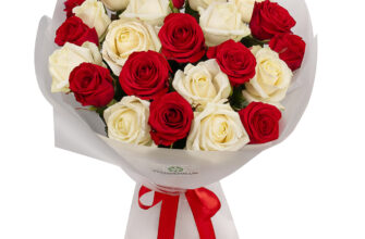 Чому білі троянди червоніють: природні причини та цікаві факти