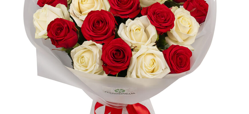 Чому білі троянди червоніють: природні причини та цікаві факти