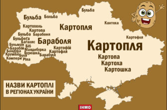Хто вперше привіз картоплю в Україну: історія появи популярного овочу