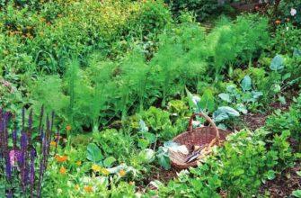 Які рослини небажано висаджувати на городі: поради досвідчених садівників