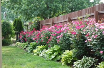 Найважливіші культури для посадки на дачі: що обрати насамперед?