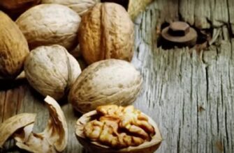 Як визначити, що волоські горіхи зіпсувалися: корисні поради та ознаки