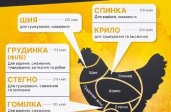 Оптимальний вибір курки для супу: яку краще обрати для ідеальної страви