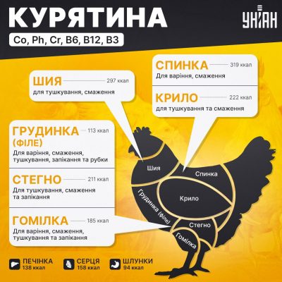 Оптимальний вибір курки для супу: яку краще обрати для ідеальної страви