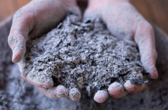 Поради: Які рослини ефективно підгодовувати золою для кращого росту