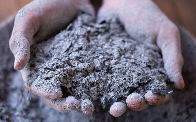 Поради: Які рослини ефективно підгодовувати золою для кращого росту