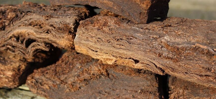 Правильне використання торфу: поради та рекомендації для оптимальних результатів