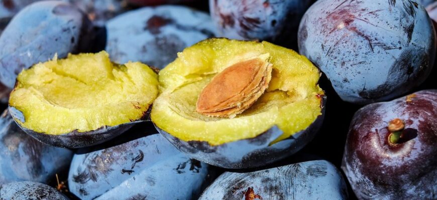 Як захистити сливи від черв’яків: ефективні поради для садівників