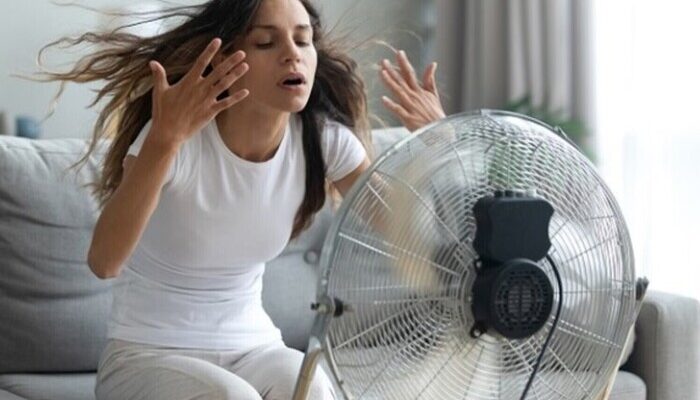 Що обрати влітку: зволожувач повітря чи вентилятор для комфорту?