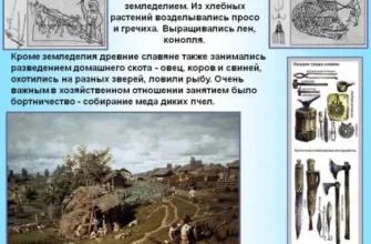 Як стародавні цивілізації освоювали основи землеробства та його розвиток