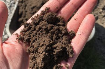 Які добрива обрати для покращення глинистого ґрунту: поради експертів