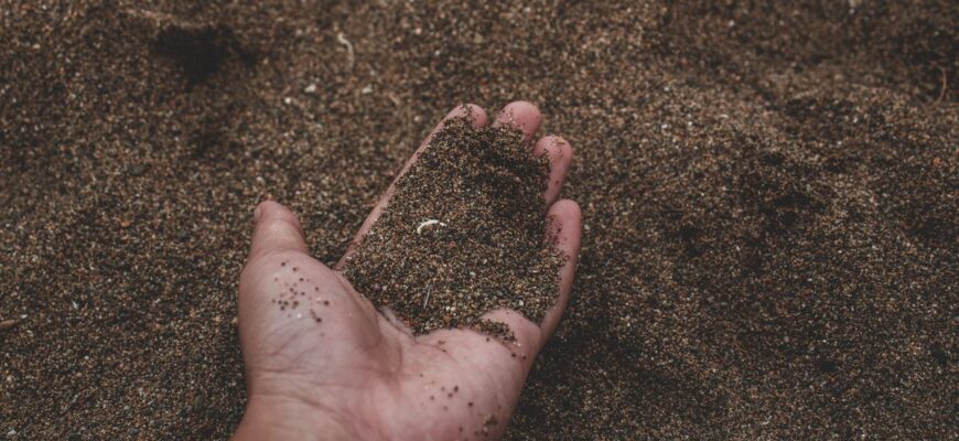 Оптимальна підготовка ґрунту для посадки огірків: поради та методи