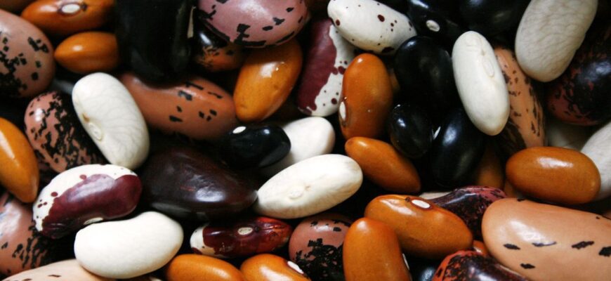 Як ефективно замочити квасолю: покрокова інструкція перед варінням