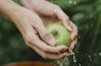 Коли краще їсти яблука для максимального користі вашому здоров’ю