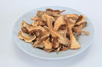 Оптимальна Температура Сушарки: Як Правильно Сушити Гриби вдома