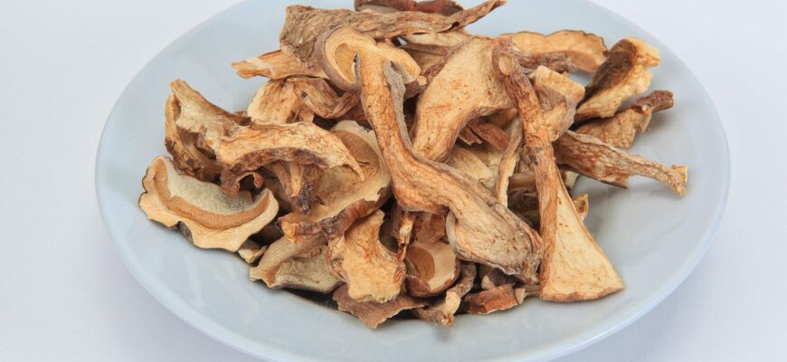 Оптимальна Температура Сушарки: Як Правильно Сушити Гриби вдома