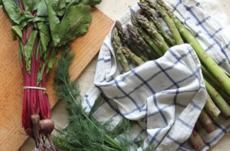 Ефективні методи замочування кухонної ганчірки: поради та лайфхаки