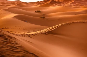 Походження піску у пустелі: природні процеси формування ландшафту