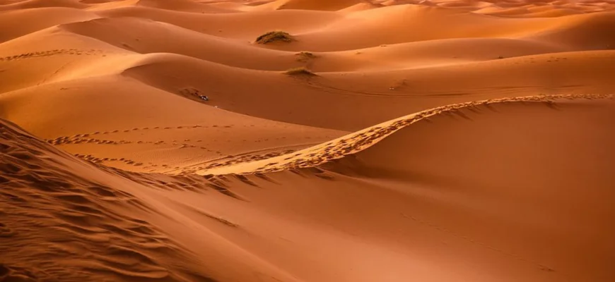Походження піску у пустелі: природні процеси формування ландшафту