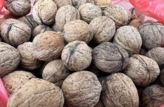 Скільки коштують волоські горіхи в Росії: ціни та особливості ринку