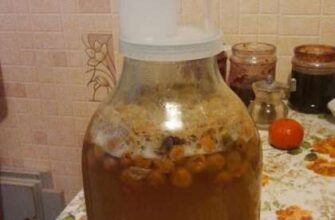 Чи потрібно вкутувати брагу: секрети оптимального бродіння браги