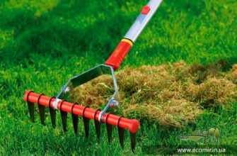 Як ефективно оновити ваш трав’яний газон: покроковий гід для початківців