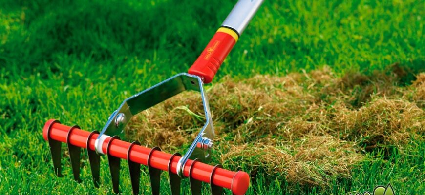 Як ефективно оновити ваш трав’яний газон: покроковий гід для початківців