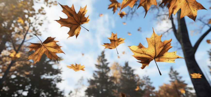Коли розпочнеться справжня осінь: точні дати та ознаки змін сезону