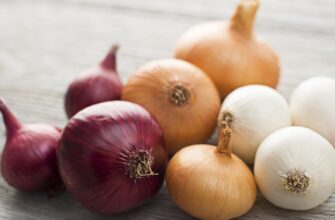 Різниця між білою та червоною капустою: властивості та користь