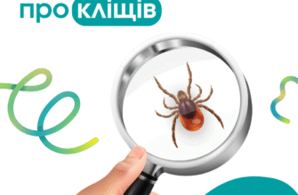 Що варто знати для отримання страховки від укусу кліща в Україні