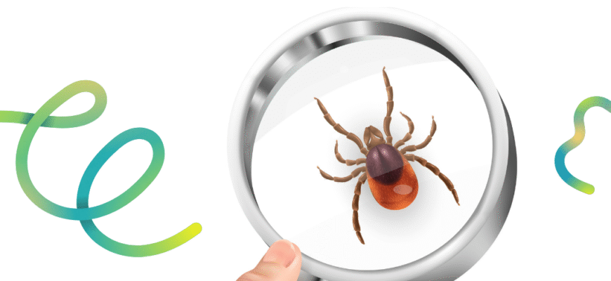 Що варто знати для отримання страховки від укусу кліща в Україні