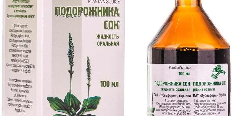 Ефективні методи вживання подорожника при гастриті для покращення здоров’я