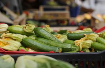 Кому суворо заборонено вживати кабачки: головні протипоказання