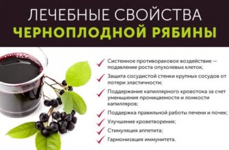 Чорноплідна горобина: Як її вживання впливає на здоров’я серця?