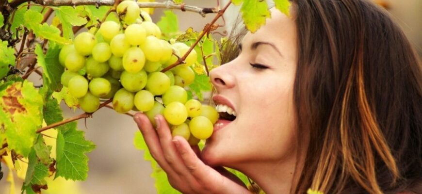 Їсти виноград уві сні: значення сновидіння та його символіка