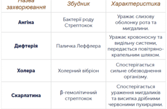 Бактерії: які небезпечні хвороби можуть вони викликати і як їх уникнути?